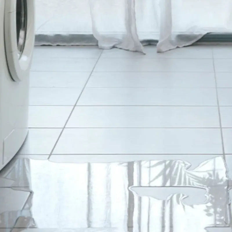Appliance Leak Cleanup in South Haven, MI